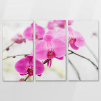 AC-120R080