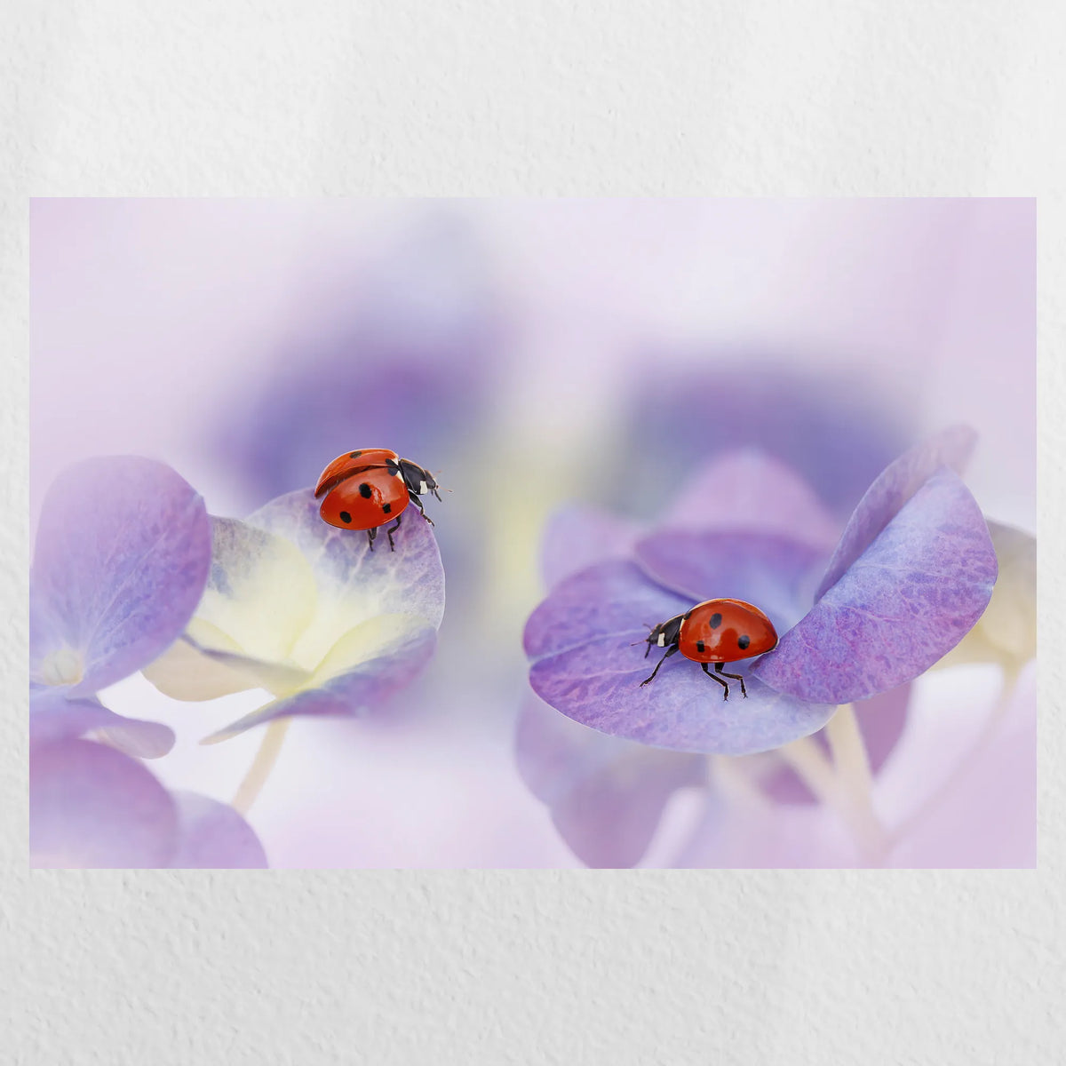 PO-030W020