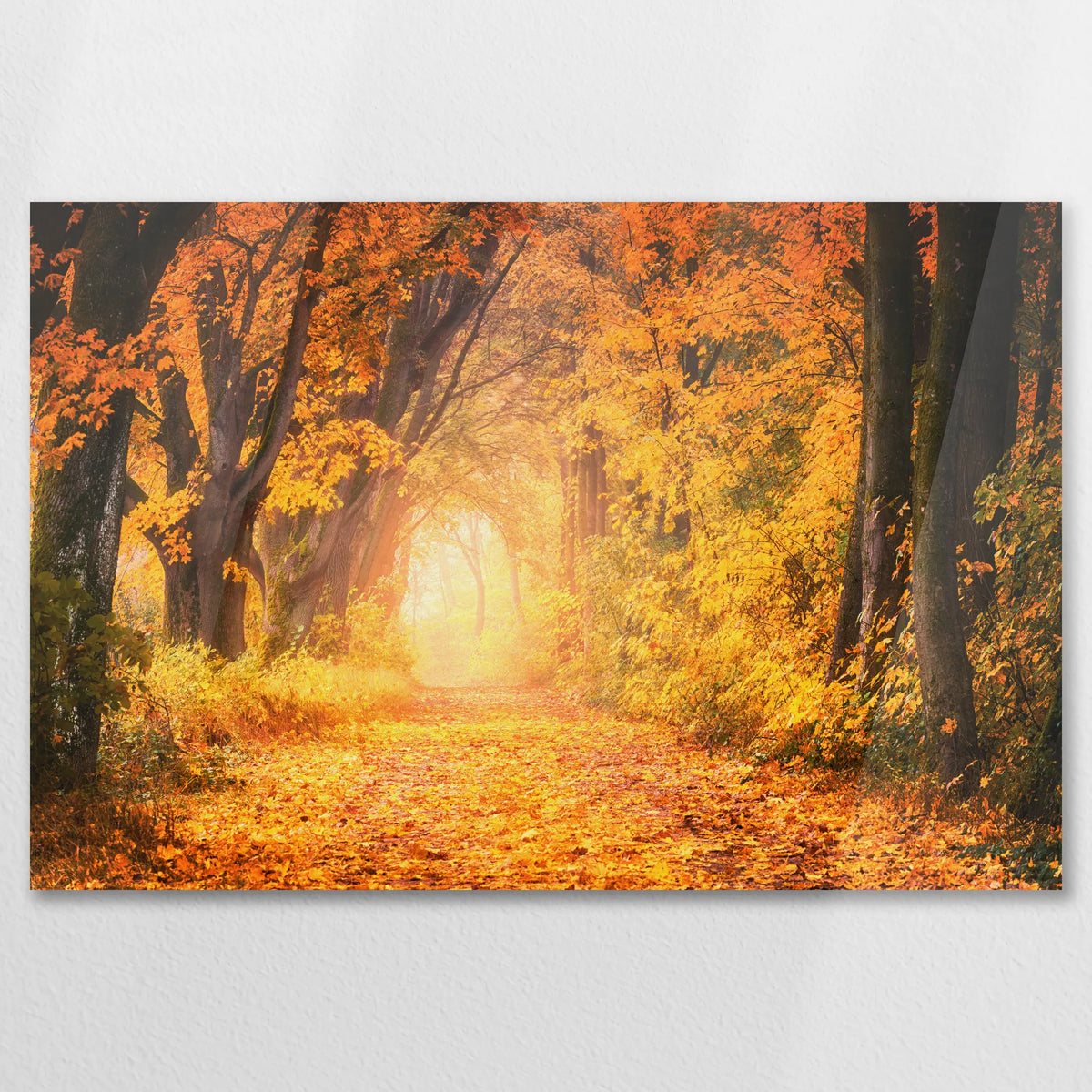 AC-090W060