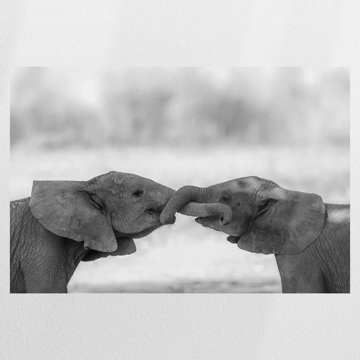 PO-090W060