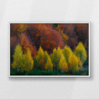 LWW100W070