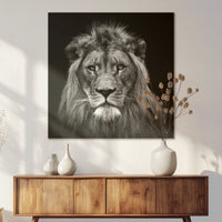 AC-080W080