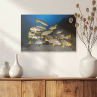 AL-030W020