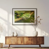 PKP093W062