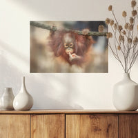 PO-045W030