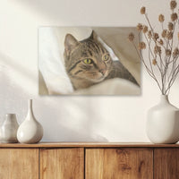 AC-030W020