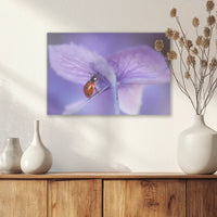 AC-030W020