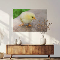 PO-090W060