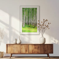 PSP080W120