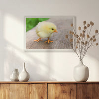 PW-060W040