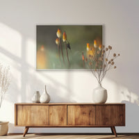 PS-093W062
