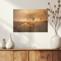 PO-030W020