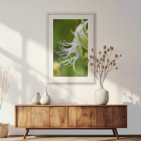 PWP062W093