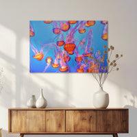 AC-075W050