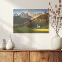 AC-045W030