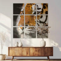 LW-120Z120
