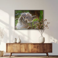PK-093W062