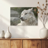 AC-030W020