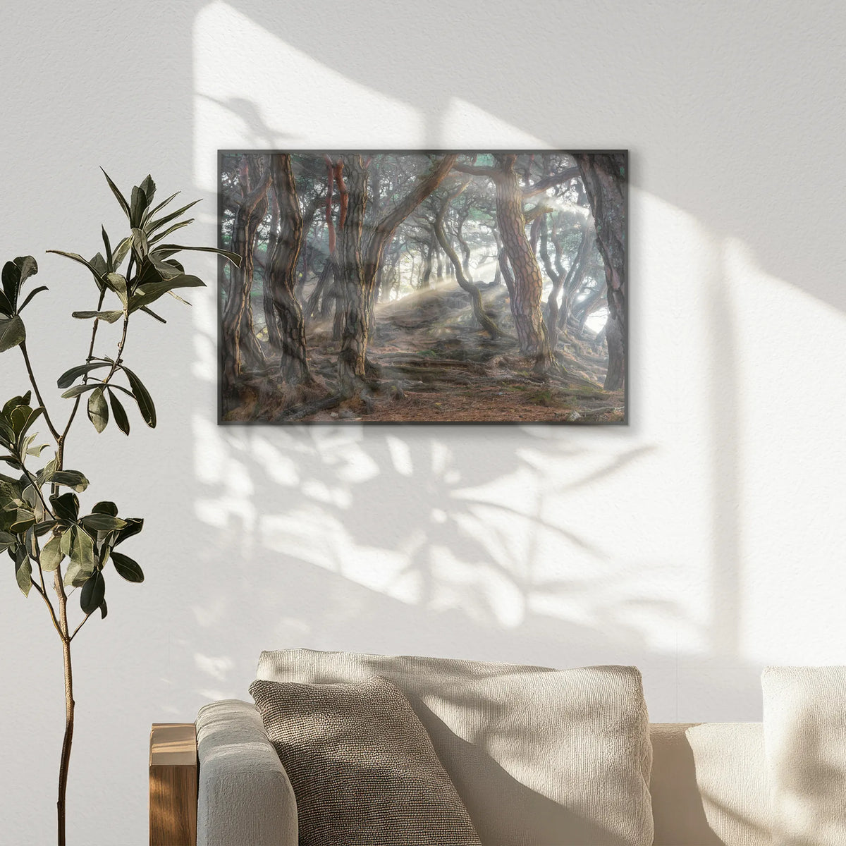 PB-093W062