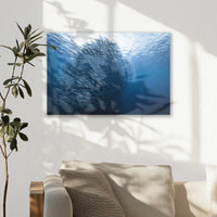 AL-045W030