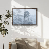 LWN060W040