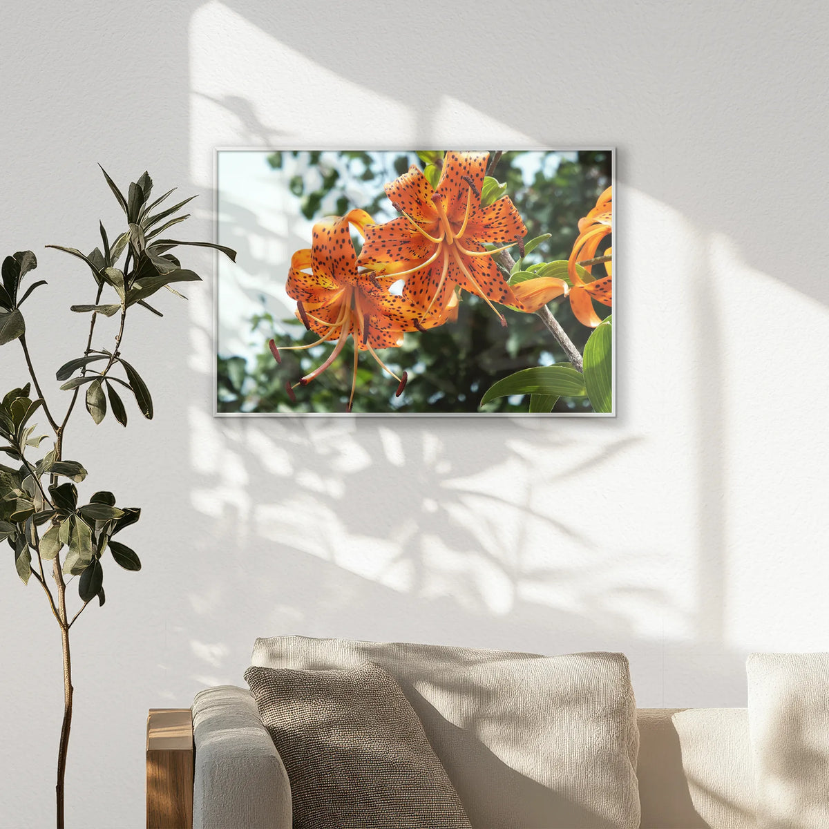 PS-093W062