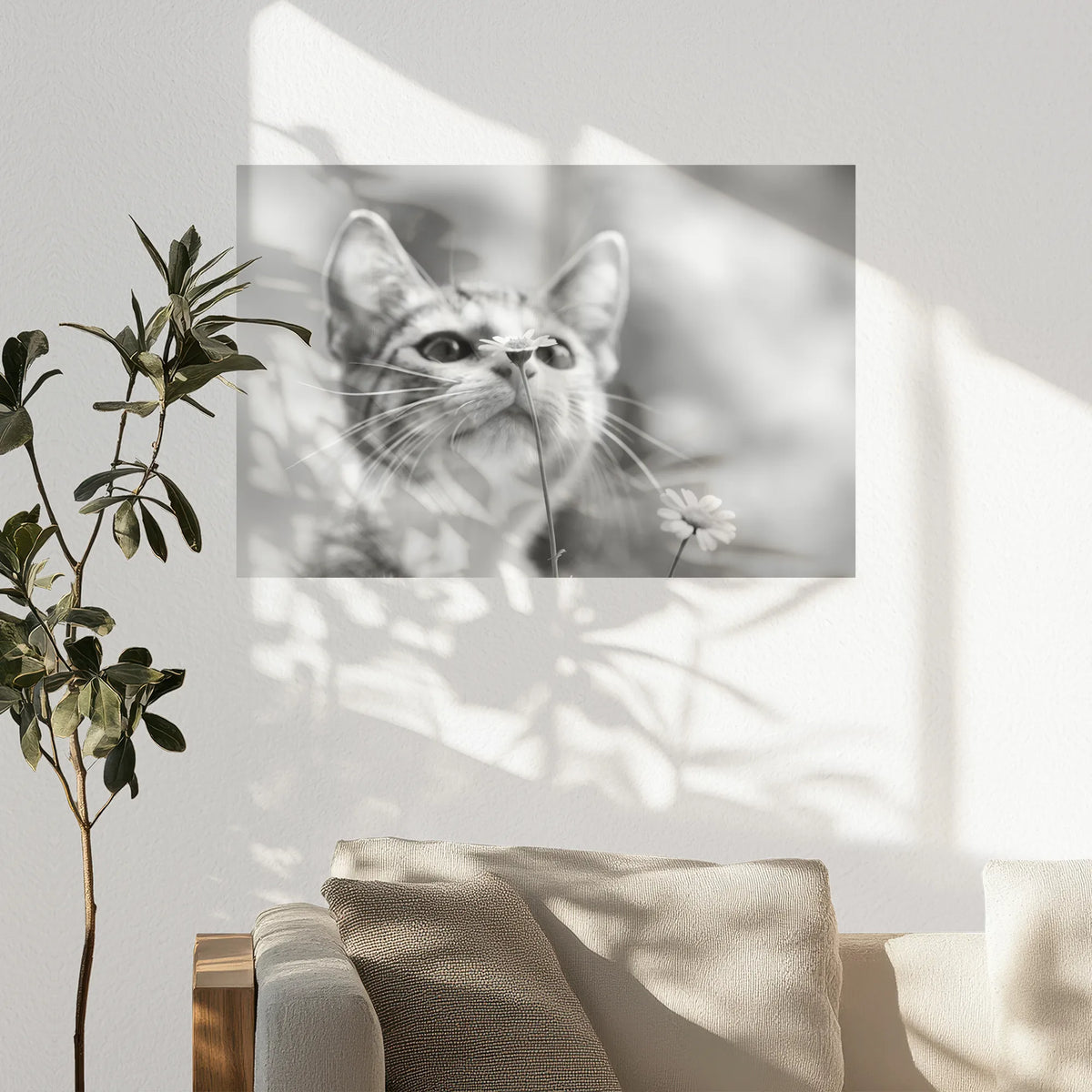 PO-075W050