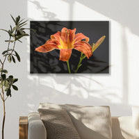 LW-030W020