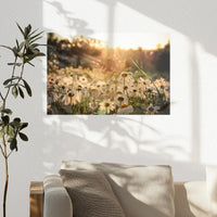 PO-030W020