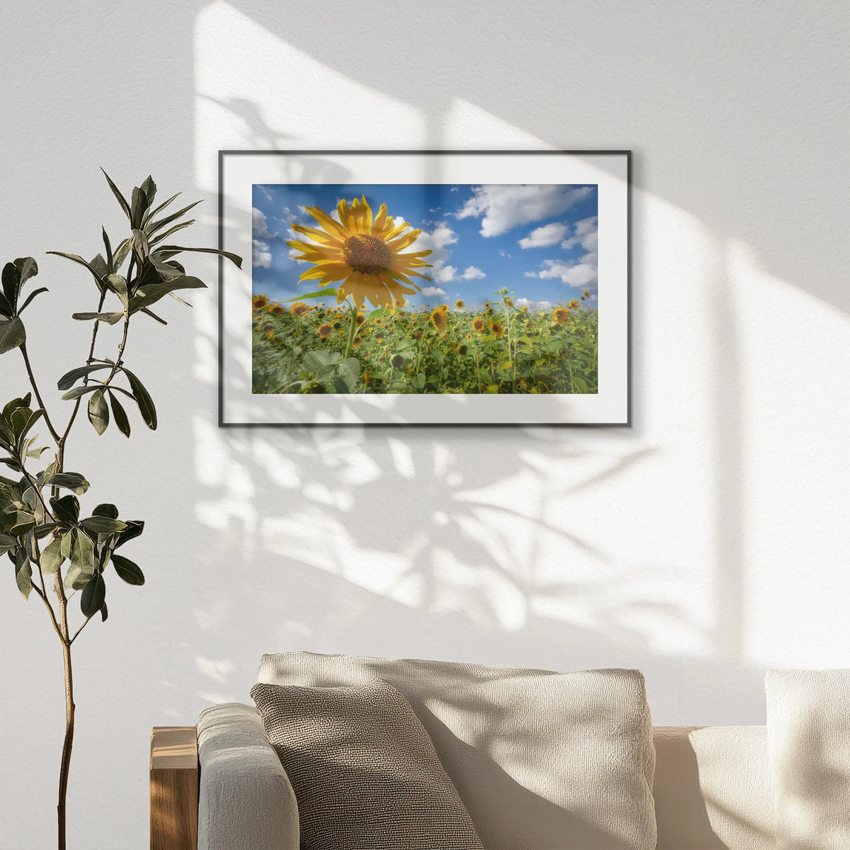 PBP093W062