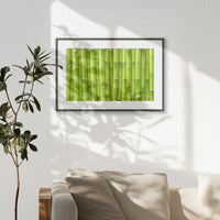 PBP060W040