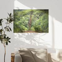 PO-060W040