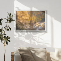 LWW060W040