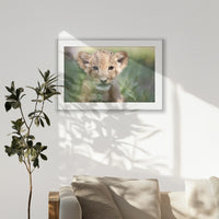 PSP120W080