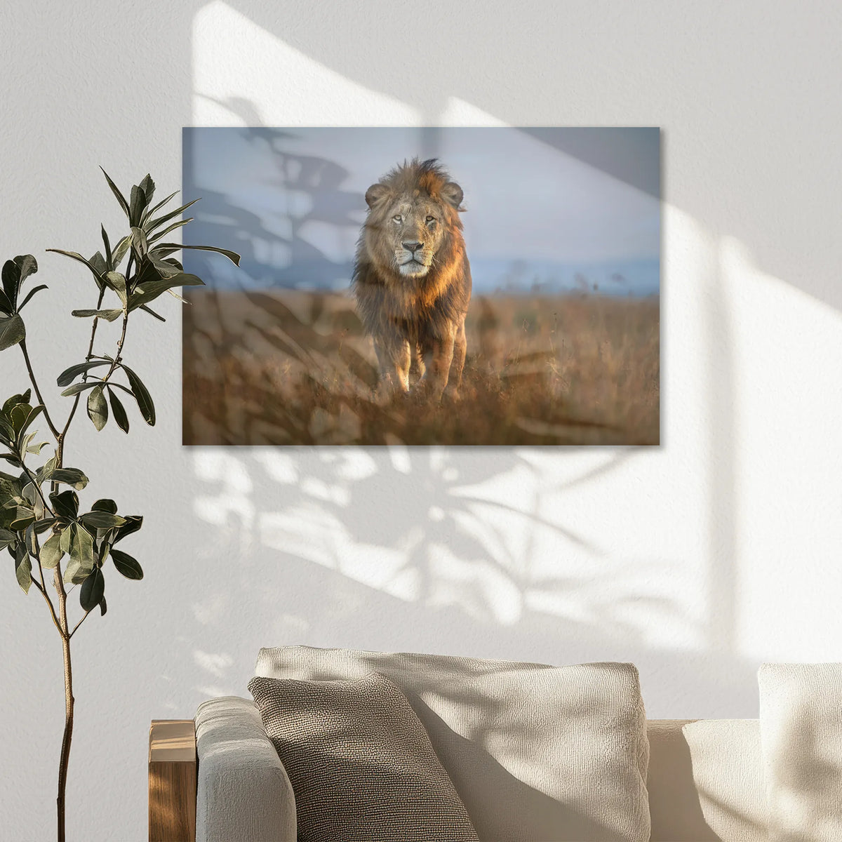 AC-075W050