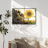 PB-060W040