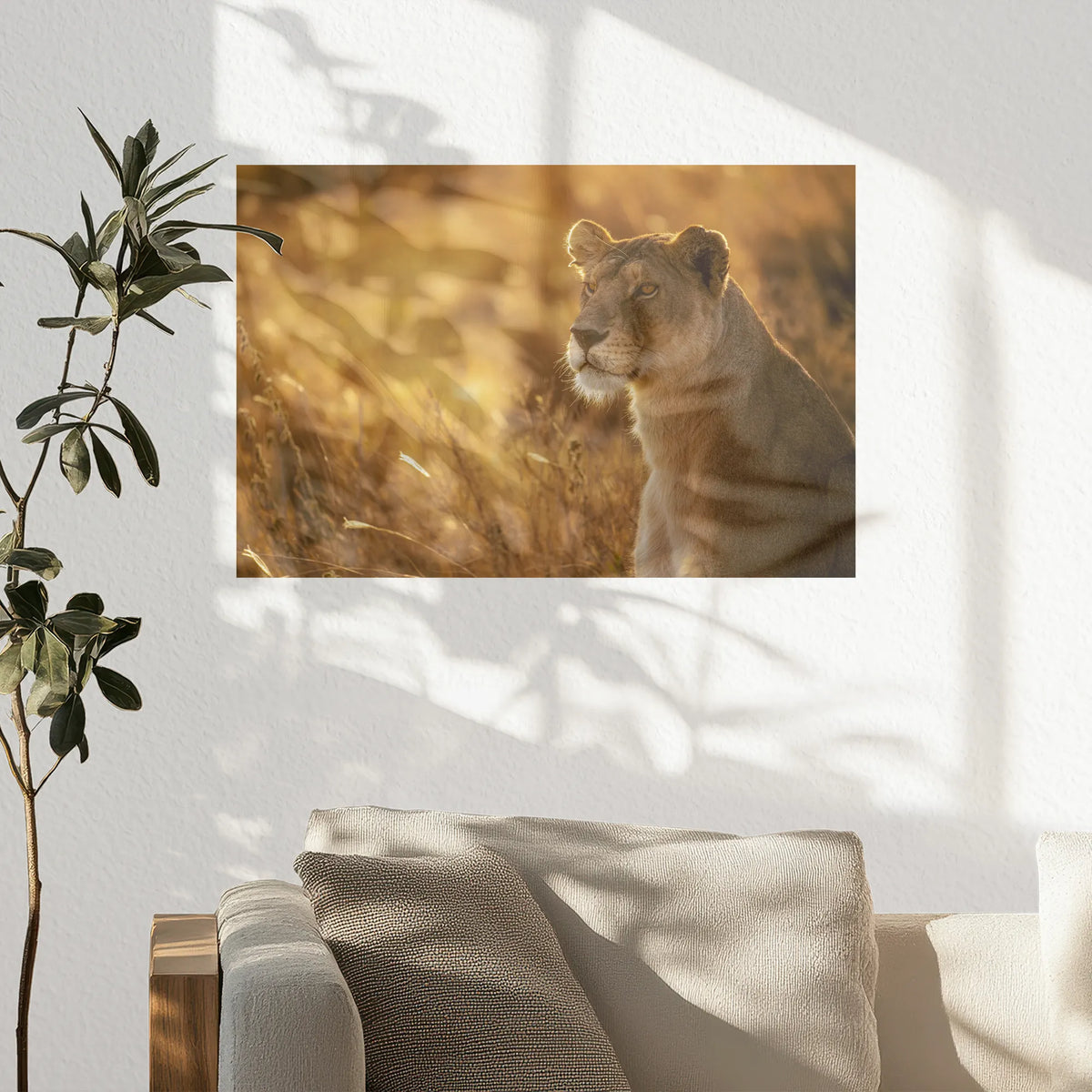 PO-030W020