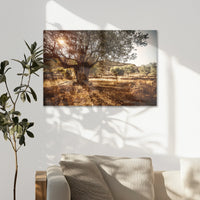 AL-090W060