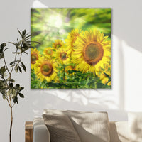 LW-070W070