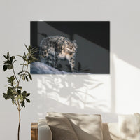 AL-120W080