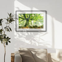 PBP060W040