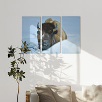 AC-150R100