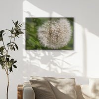 PB-093W062