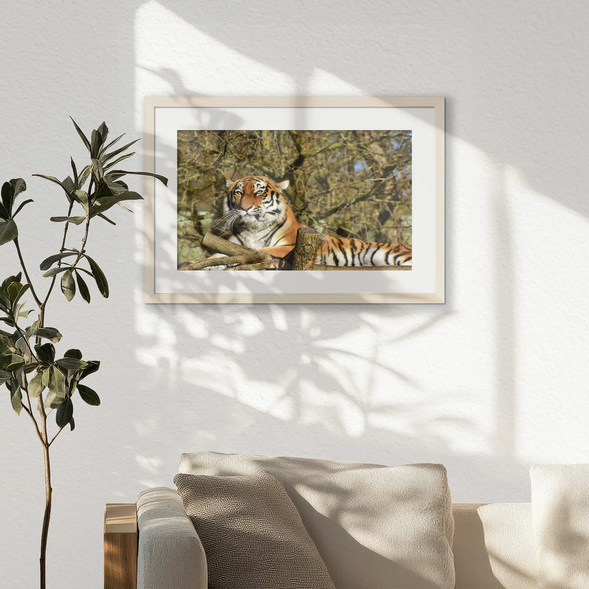 PNP060W040