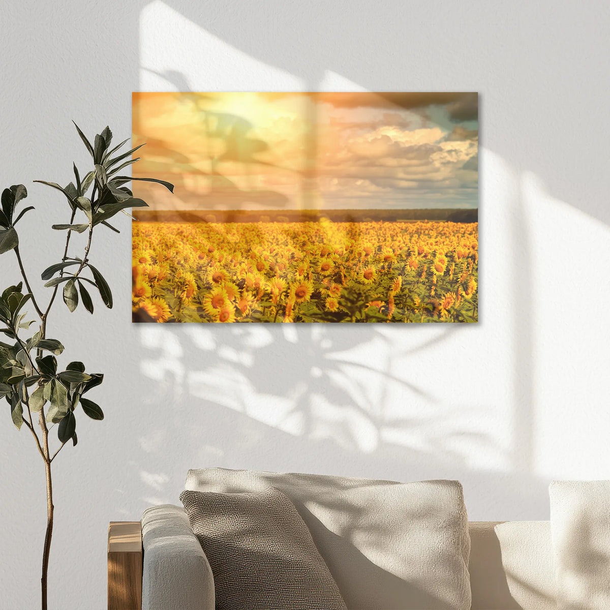 AC-075W050