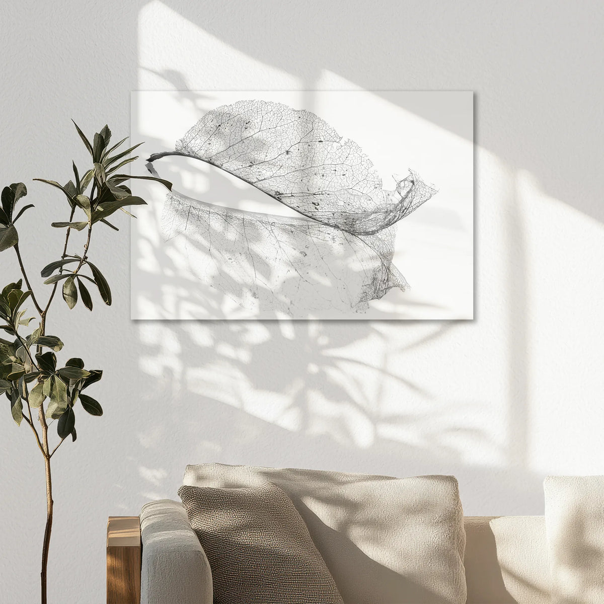 AC-075W050