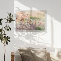 PW-093W062