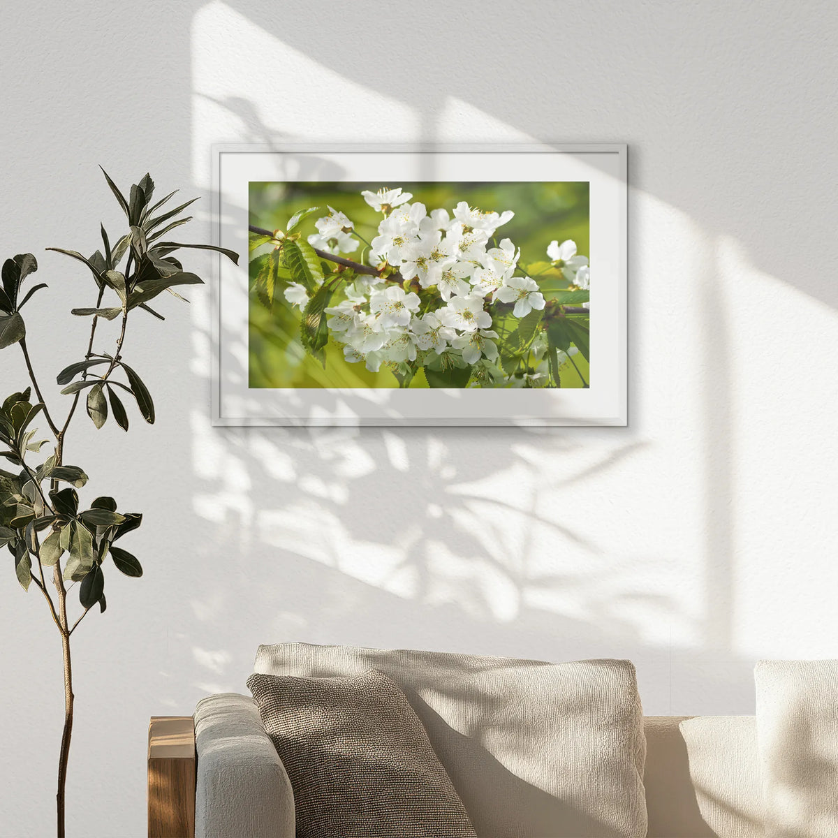 PWP093W062