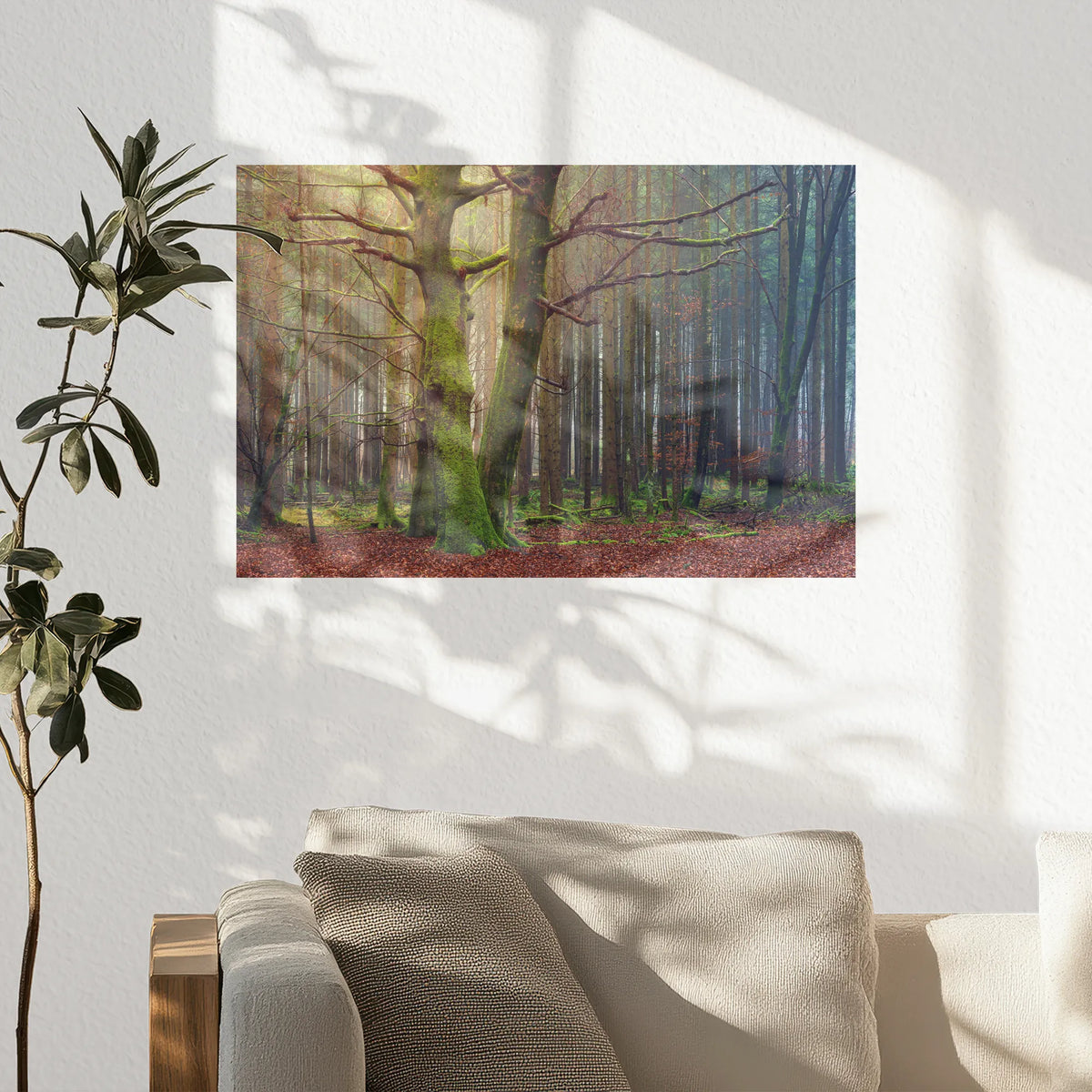 PO-030W020