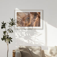 PNP100W070